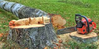 Best Commercial Tree Services  in Pulaski, NY